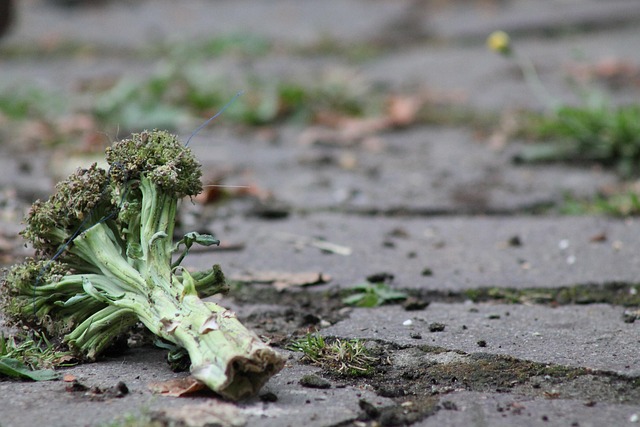 **Zero Waste na Talerzu: Jak Szefowie Kuchni Redukują Marnotrawstwo Żywności, Zachowując Wysoką Jakość Smaku** - 3 2025