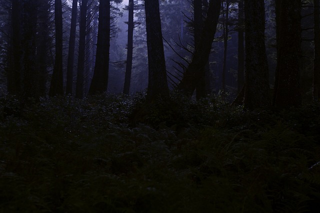 **”Horror w świetle dnia: Dlaczego „słoneczny horror” budzi w nas większy niepokój niż nocne strachy?”**
