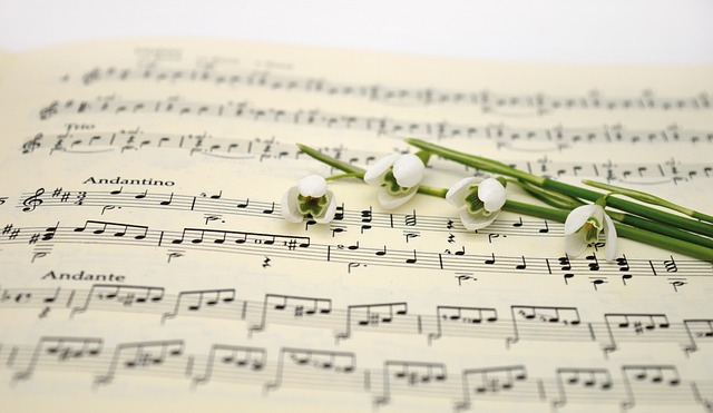 Muzyka w Filmie: Jak Dźwięk Kształtuje Nasze Wrażenia - 3 2025