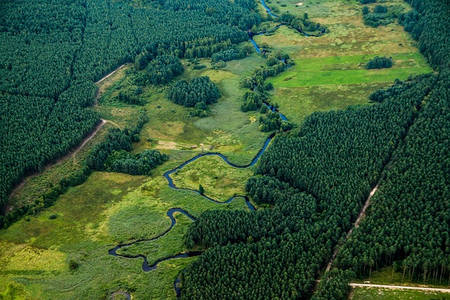 **Foto-Przewodnik Kulinarnego Krajobrazu Polski: Jak uchwycić i skosztować unikalne potrawy regionalne podczas podróży?**